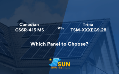 Canadian vs Trina: Which Panel to Choose?