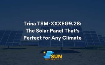 Trina TSM Solar Panel: Perfect for Any Climate