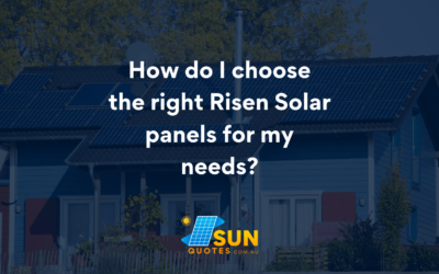 How do I choose the right Risen Solar panels for my needs?