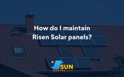 How do I maintain Risen Solar panels?