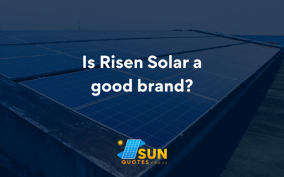 Is Risen Solar a good brand?