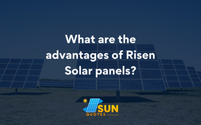 What are the advantages of Risen Solar panels?