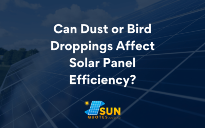 Can Dust or Bird Droppings Affect Solar Panel Efficiency?