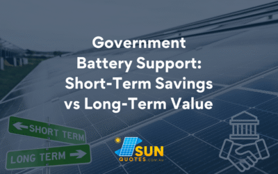 Government Battery Support: Short-Term Savings vs Long-Term Value